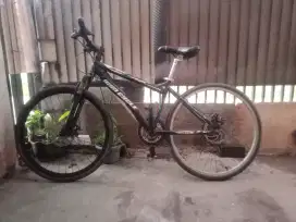 Wincycle Hibrid