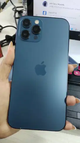 IPHONE 12 PROMAX MURCE