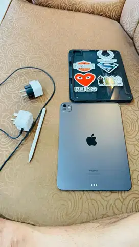 Ipad pro M4 256 gb wifii only 11 inch