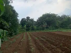 Fasum Jalan Cor Beton 5 meter, area Sawangan Depok hanya 4jt-an . SHM