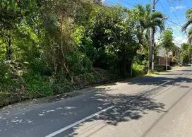 Tanah Raya Babakan Canggu Badung Bali