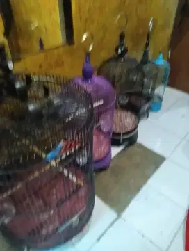 Di jual borongan bekas rasa baru