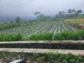 Tanah 3000 meter di jalan palagan km 13 dekat kampus UII