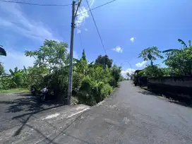 DI JUAL TANAH DI TUMBAK BAYUH CANGGU DENGAN VIEW SAWAH DWT098