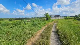 Tanah View Sawah Kaba Kaba Tabanan