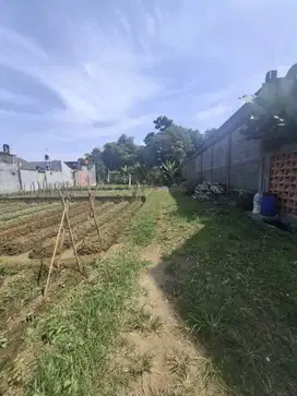 Tanah Luas95 Cisaranten Kulon Arcamanik Bandung Harga TERMURAH