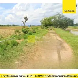 Dijual Tanah di Metro Selatan, Metro (Kode: San 3352)