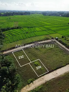 Tanah View Sawah Kedungu Kediri Tabanan