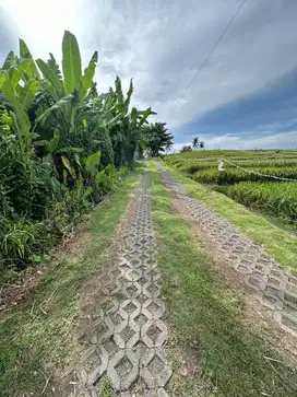 Tanah kav pantai nyanyi tabanan