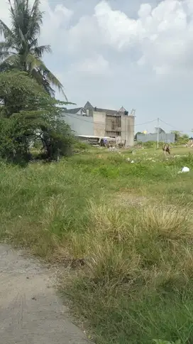 Tanah Munggu Badung Bali