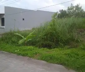Tanah Tembalang Burangrang Dekat Undip
