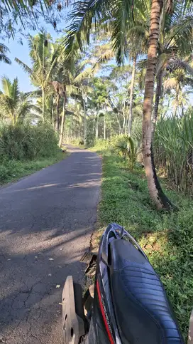 KEBUN SENGON MURAH DEKAT KOTA MALANG