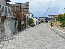 Tanah Kayu Tulang Selatan Canggu Badung