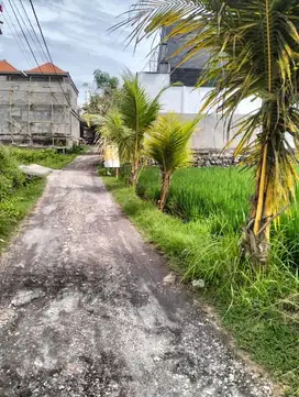 Tanah 5 are Bhanuswari Resort, Ubud