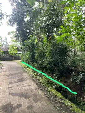 Dijual pekarangan murah