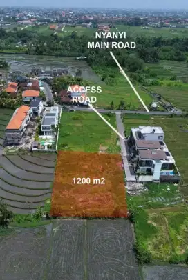 JUAL TANAH DEKAT NYANYI BEACH VIEW SAWAH