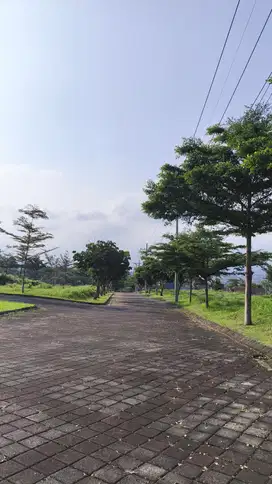 Tanah Cluster Exclusive Samping Kampus UIN 3 Dau Cocok Rukost