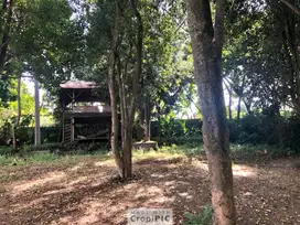 Dijual Tanah kebun cengkeh 5.800 m² di Cimahi, kab Bandung Barat