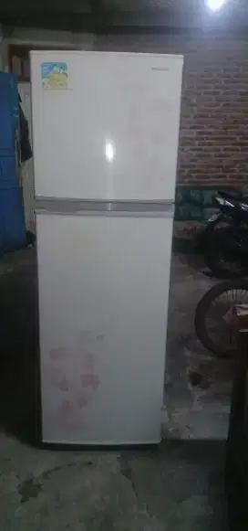 kulkas jumbo normal