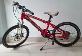 Sepeda Anak Type MTB 20 Wimcycle Roadtech DX.
