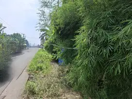 Dijual Tanah 4200 m² di pinggir jalan besar, Babelan, Bekasi Utara
