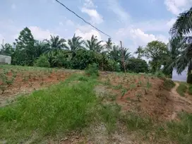 Dijual Tanah 1 Hekta di Deliserdang, Sinembah Medan