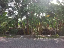 0812,53s lelang aset Gresik di Menganti di tanah pelemwatu