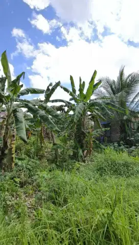 “Promo Gila! Kavling 10x15 Cuma 50 Jutaan -Legalitas Aman,