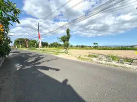 Jual Cepat Tanah Purwomartani Sleman, Tepi Jalan