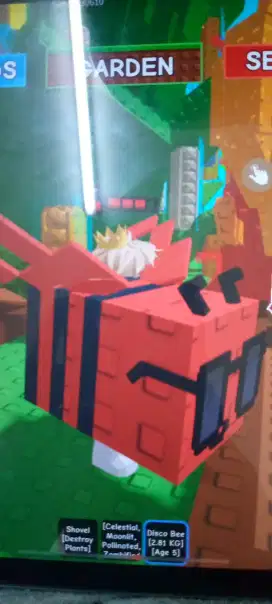 Disco bee,GROW A GARDEN