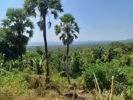 Tanah di bukit dengan view gunung dan unblock ocean view