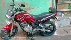 WTS SCORPIO Z 2009