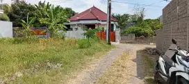 Tanah dekat SMP SMA di singaraja desa sambangan