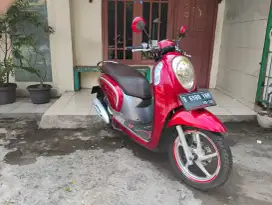 Honda scoopy 2016
