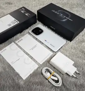 Iqoo 13 16/512GB Legenda