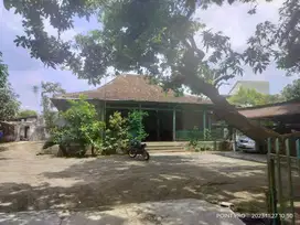 Rumah Joglo Bagus Luas 1395m² Surakarta