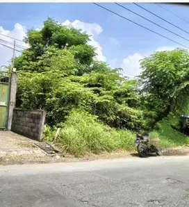 Dijual Lahan Jalan Alas Malang Surabaya Barat