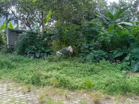 Dijual Tanah Kavling Siap Bangun Jagakarsa Jakarta Selatan Dekat Tol