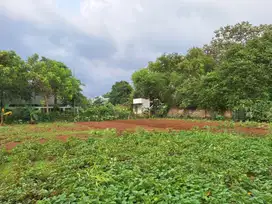 Pondok Cabe Kavling SHM, Cicilan 12x, Lokasi Strategis!