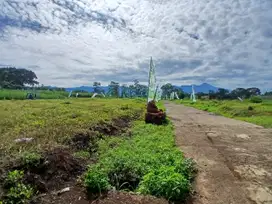 Tanah Premium Cocok Untuk Investasi atau Hunian di Malang