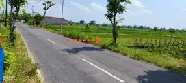 Lahan Pertanian 1908m² Murah Bisa Kering Pinggir Jln Boyolali