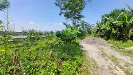 Dijual tanah istimewa cocok buat gudang di Klepu, Ungaran (12458-MRT)