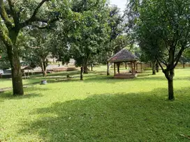 Kebun Mangga Aktif dan Kafe Estetik di Majalengka Sertifikat SHM