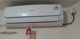 Ac sharp 1/2 pk original
