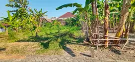 dijual tanah Ngawi siap bangun