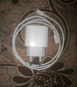 Charger iPhone ori 18W C to lightning
