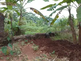 Tanah Cocok Untuk Perkebunan Lokasi Jl. Jangli Gabeng Semarang