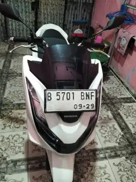PCX CBS 2024 putih