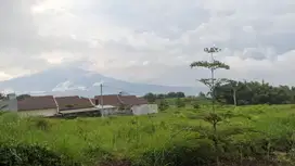 Di jual tanah dekat kampus UIN 3 malang