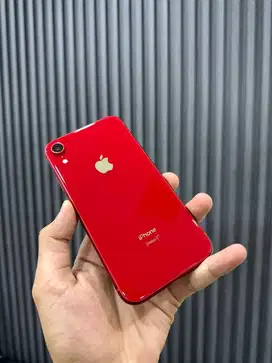 iPhone Xr 256Gb inter Regist